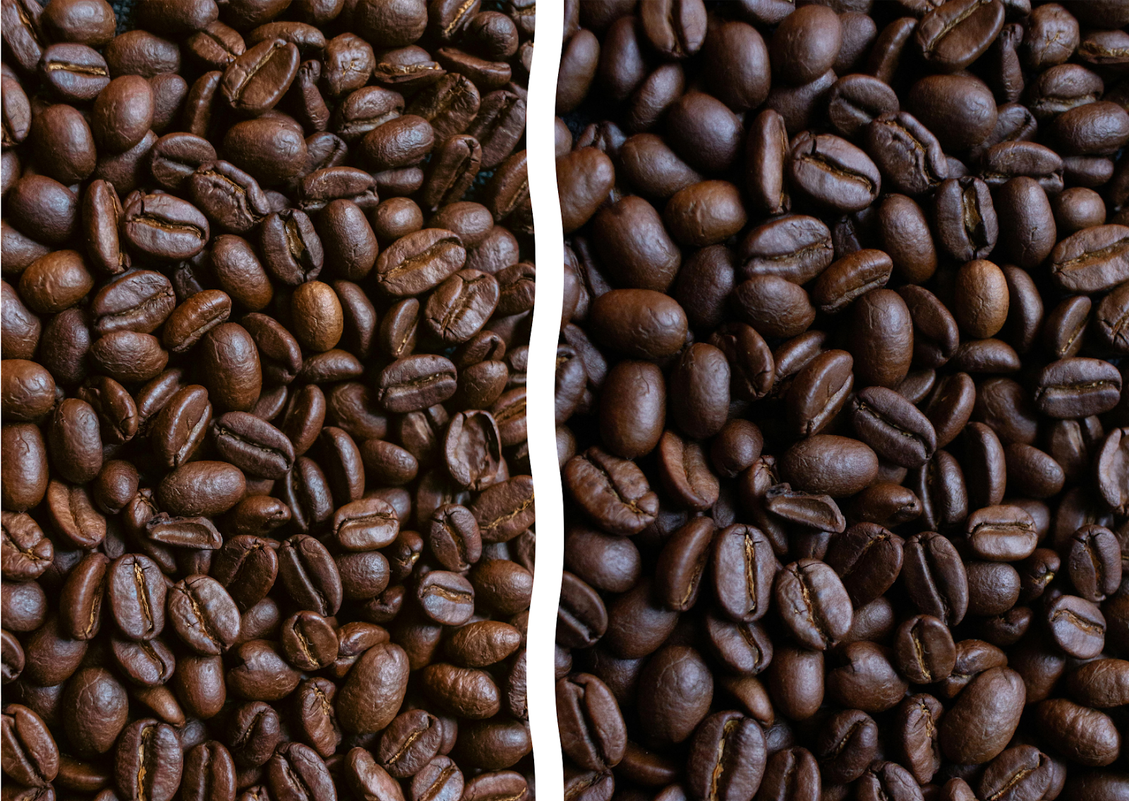 French Roast vs. Dark Roast | Copan Coffee – COPAN COFFEE ROASTERS