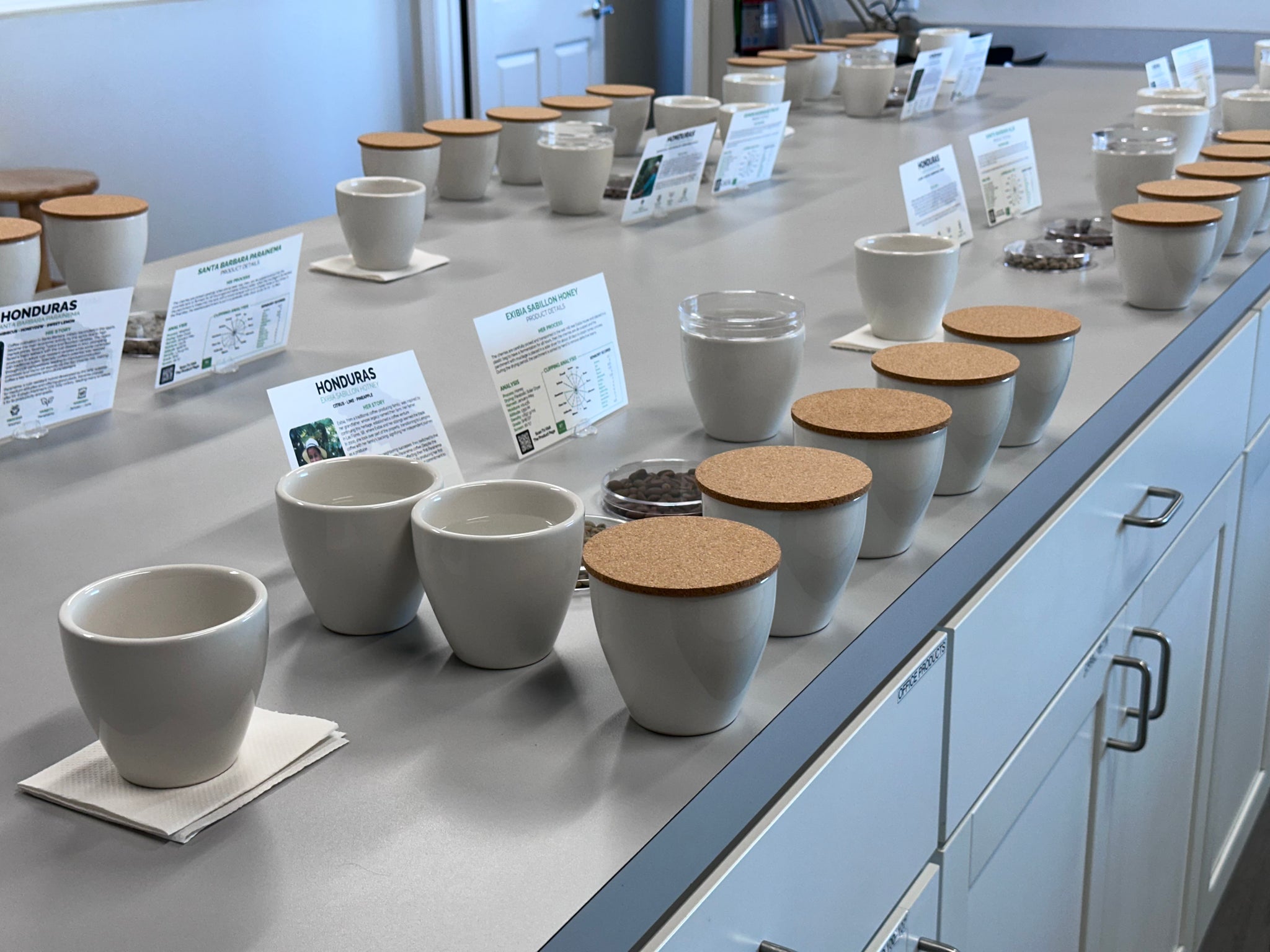 COFFEE INTRO 101