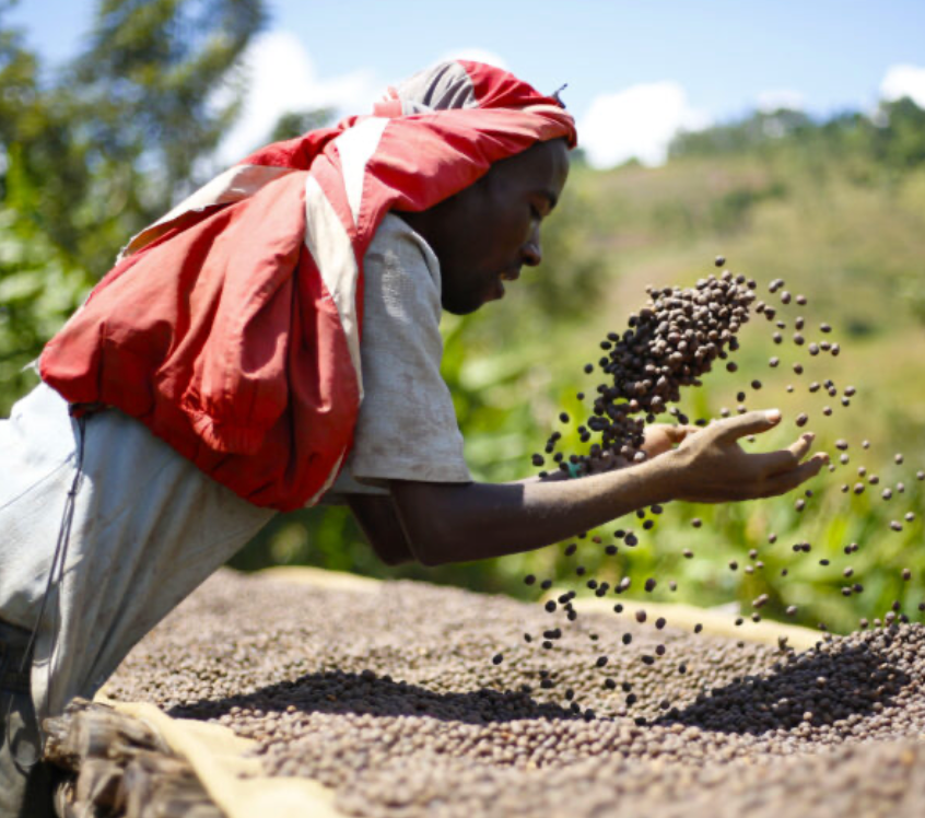 BURUNDI HAFI NATURAL